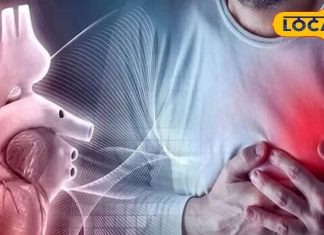 Heart Attack Symptoms: अगर आपको महसूस होते हैं ये 5 लक्षण तो सावधान, हार्ट अटैक का खतरा, बचाव के टिप्स