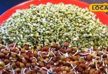 राजस्थान के खेतों में उगने वाली यह फली है प्रोटीन का पॉवरहाउस, सेहत और ताकत दोनों के लिए है बेहतरीन