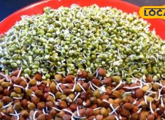 राजस्थान के खेतों में उगने वाली यह फली है प्रोटीन का पॉवरहाउस, सेहत और ताकत दोनों के लिए है बेहतरीन