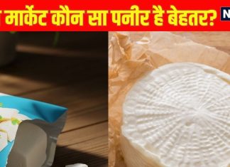Homemade vs Packaged paneer Which is Better: घर या मार्केट का पनीर कौन है बेहतर? जानें एक्सपर्ट की राय