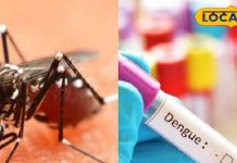 Effective home remedies to increase platelets and strengthen immunity during dengue. Follow these health tips for improvement within three days.