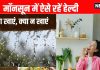 Foods to avoid in monsoon: मॉनसून में क्या खाएं और क्या न खाएं, डाइट टिप्स