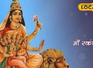 Navratri 2025 Day 5: संतान सुख से हैं वंचित? इस विधि से करें मां स्कंदमाता की पूजा, जल्द भरेगी सूनी गोद!