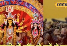 Navratri Totke 2025: कर्ज-नजर से हैं परेशान? नवरात्रि में जरूर करें लौंग के ये टोटके, माता की कृपा से सब टेंशन होगी दूर