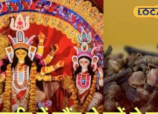 Navratri Totke 2025: कर्ज-नजर से हैं परेशान? नवरात्रि में जरूर करें लौंग के ये टोटके, माता की कृपा से सब टेंशन होगी दूर