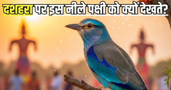 Neelkanth Bird on Dussehra: दशहरा के दिन नीलकंठ पक्षी को