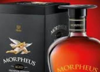 Brandy History: समृद्ध है इस शराब का इतिहास, दवा के तौर पर हुई शुरुआत, कैसे बनी इलीट क्लास की ड्रिंक