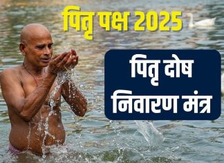 पितृ पक्ष में पितृ दोष से चाहिए मुक्ति, तो हर दिन सुनें यह स्तोत्र, पितर हो जाएंगे खुश – Bharat.one हिंदी