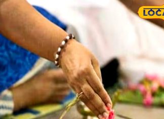 Pitru Paksha 2025: पितृपक्ष में भूलकर भी न लगाएं ये पेड़, इन सब्जियों का सेवन भी है वर्जित, वरना लग जाएगा पितृदोष!