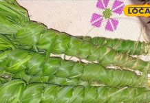 Pitru Paksha: इस अनोखे चारे को साल में सिर्फ एक दिन तोड़ने का नियम, जड़ों की होती है पूजा