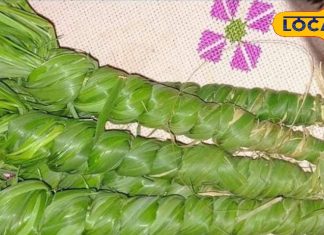 Pitru Paksha: इस अनोखे चारे को साल में सिर्फ एक दिन तोड़ने का नियम, जड़ों की होती है पूजा