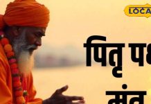 Pitru Paksha: पितृ दोष से जूझ रहे हैं, तो पितृ पक्ष में जरूर करें इन मंत्रों का जाप, पूर्वजों की बरसने लगेगी कृपा