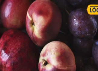 फल एक, फायदे अनेक, समोसे की चटनी या गर्मी का शरबत, हर फॉर्म में लाजवाब आलू बुखारा, विटामिन, फाइबर और मिनरल्स से है भरपूर