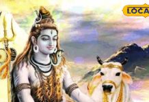 Pradosh Vrat: 4 या 5 सिंतबर, कब है भादो का अंतिम प्रदोष? उज्जैन के पंडित से जानें सही तिथि और शुभ मुहूर्त