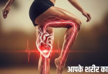 Where is your second Heart, calf Muscles is your second blood circulation | आपके शरीर में दूसरा हार्ट कहां है