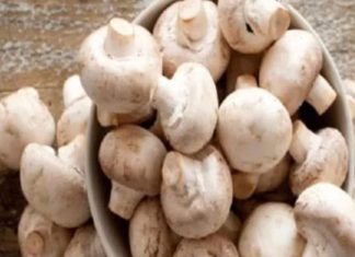 विटामिन D के शाकाहारी स्रोत: बिना धूप के deficiency कैसे दूर करें.