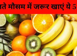 बदलते मौसम में जरूर खाएं ये 5 फल, शरीर रहेगा स्वस्थ और इम्यूनिटी होगी बूस्ट