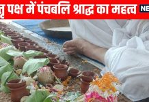 panchbali shraddh Karm during pitru paksh in hindi and importance of panchbali shraddh ancestor worship | श्राद्धपक्ष में पंचबलि कर्म, इन 5 जगहों पर क्यों रखा जाता है भोजन, जानें इसकी महत्ता