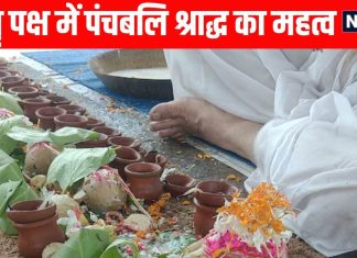 panchbali shraddh Karm during pitru paksh in hindi and importance of panchbali shraddh ancestor worship | श्राद्धपक्ष में पंचबलि कर्म, इन 5 जगहों पर क्यों रखा जाता है भोजन, जानें इसकी महत्ता