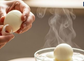 egg peeling tips follow this simple tips to peel boiled eggs easily | अंडे उबालते समय बस इसे पानी में डाल दें… आपको Eggs छीलने की तक की जरूरत नहीं होगी!