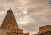 Brihadeeswara Temple Thanjavur Know importance and history of Brihadeeswara Temple | 1000 हजार वर्ष पुराने इस मंदिर में कोई नींव नहीं, द्रविड़ वास्तुकला का उत्कृष्ट उदाहरण, 80 टन का है शिखर