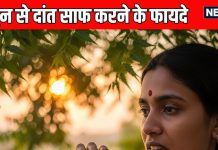 Benefits of cleaning teeth with datun: दातुन से दांत साफ करने के फायदे