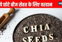 Chia Seeds Health Benefits: ये छोटे बीज सेहत के लिए वरदान, ब्लड शुगर, बीपी रखे कंट्रोल