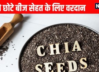 Chia Seeds Health Benefits: ये छोटे बीज सेहत के लिए वरदान, ब्लड शुगर, बीपी रखे कंट्रोल
