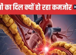 Abnormal Cholesterol Levels Rising in India Study Reveals Risks | भारत में हर 4 में से 1 शख्स का कोलेस्ट्रॉल लेवल गड़बड़