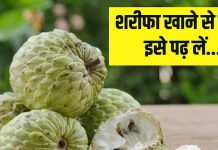 Health Tips: शरीफा खाने से पहले यह बात जान लें, वरना जाना पड़ सकता है अस्पताल…