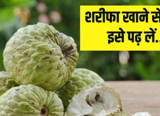 Health Tips: शरीफा खाने से पहले यह बात जान लें, वरना जाना पड़ सकता है अस्पताल…