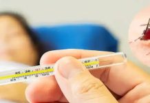 डेंगू-मलेरिया में अधिकांश लोग करते हैं ये गलती! और अस्पताल पहुंच जाता है मरीज, एक्सपर्ट ने दी सलाह dengue malaria chikungunya patient care tips