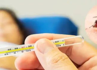 डेंगू-मलेरिया में अधिकांश लोग करते हैं ये गलती! और अस्पताल पहुंच जाता है मरीज, एक्सपर्ट ने दी सलाह dengue malaria chikungunya patient care tips