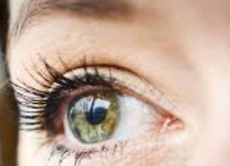 जब आप नहीं रहेंगे! आपकी आंखों से दुनिया देखेंगे लोग… जरा सोच के देखिए\ eye donation cornea transplant to prevent blindness in india aiims rp centre