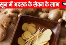 Health Benefits of eating Ginger in Monsoon: मानसून में खाएं अदरक, शरीर को होंगे अद्भुत फायदे