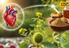 Health Tips: किडनी स्टोन का रामबाण इलाज है ये औषधि, इम्यूनिटी से लेकर हार्ट हेल्थ…सबका रखती है ख्याल – Uttar Pradesh News