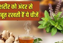 अदरक से लेकर तुलसी तक… ये 5 आयुर्वेदिक नुस्खे आपको बनाएंगे अंदर से मजबूत, बीमारियों की हो जाएगी छुट्टी!