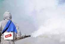 क्या आने वाला है कोई बड़ा खतरा या महामारी? हेल्थ मिनिस्ट्री ने राज्यों को क्यों किया अलर्ट? alert in india for dengue malaria cases by jp nadda health ministry