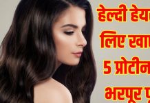 How to boost Hair growth: बालों की ग्रोथ को तेजी से बढ़ाते हैं ये 5 प्रोटीन से भरपूर फूड्स