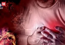 कोलेस्ट्रॉल नहीं शरीर में मौजूद ये एक चीज बन रही हार्ट की दुश्मन, युवाओं को दे रही डबल झटका heart attack cardiac arrest not cholesterol but triglycerides is harmful