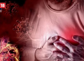 कोलेस्ट्रॉल नहीं शरीर में मौजूद ये एक चीज बन रही हार्ट की दुश्मन, युवाओं को दे रही डबल झटका heart attack cardiac arrest not cholesterol but triglycerides is harmful