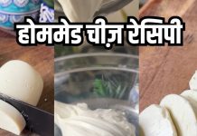 homemade processed cheese: घर पर बनाएं स्वादिष्ट प्रोसेस्ड चीज़ बिना केमिकल्स