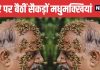 Why Hundreds of Bees Sat on Man’s Face Without Stinging | शख्स के चेहरे पर बैठी मधुमक्खियों ने क्यों नहीं मारा डंक