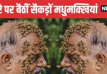 Why Hundreds of Bees Sat on Man’s Face Without Stinging | शख्स के चेहरे पर बैठी मधुमक्खियों ने क्यों नहीं मारा डंक