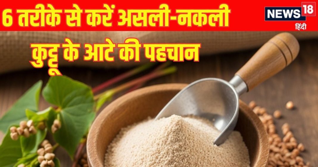 How to identify real and fake kuttu ka atta: 6 तरह से करें असली-नकली कुट्टू के आटे की पहचान