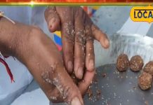 National Food Festival In Udaipur | Lal Jowar Laddoo