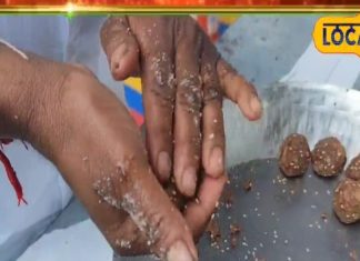 National Food Festival In Udaipur | Lal Jowar Laddoo