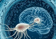 Can You Get Brain Eating Amoeba Infection from Drinking Water | क्या पीने के पानी से भी हो सकता है ब्रेन ईटिंग अमीबा का इंफेक्शन