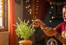 Navratri 2025 Tulsi Remedy। नवरात्रि में तुलसी का पौधा किस दिशा में रखें