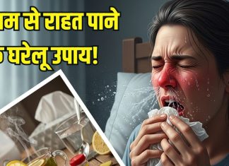 Jukam Ke Gharelu Upay: जुकाम ने नाक को पूरी तरह कर दिया बंद? राहत पाने के लिए करें 5 घरेलू उपाय, जल्द मिलेगी राहत